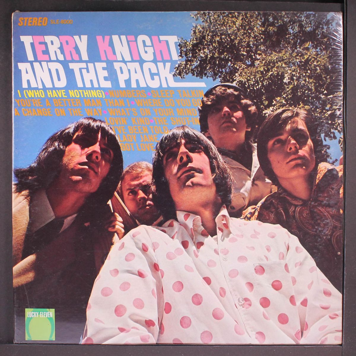 terry knight & pack by TERRY KNIGHT & PACK
