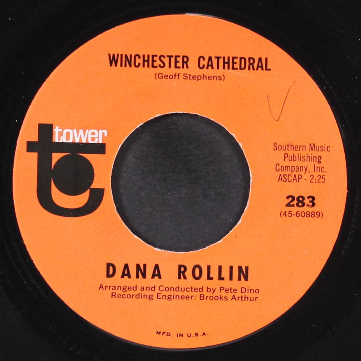 winchester cathedral / party's pad by DANA ROLLIN