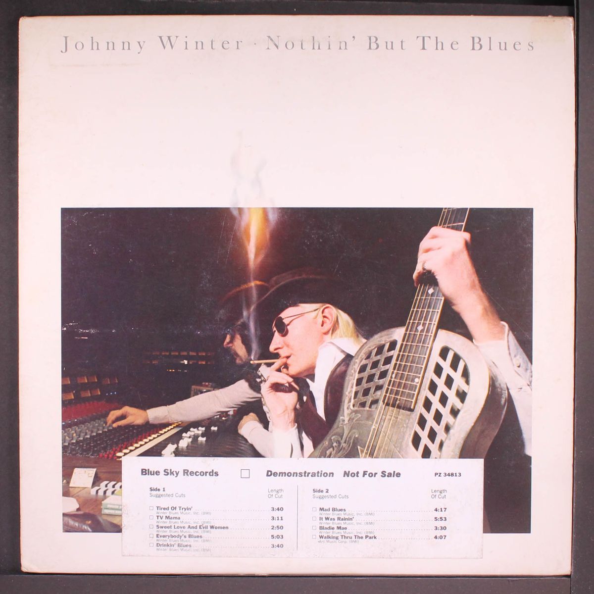 nothin' but the blues by JOHNNY WINTER