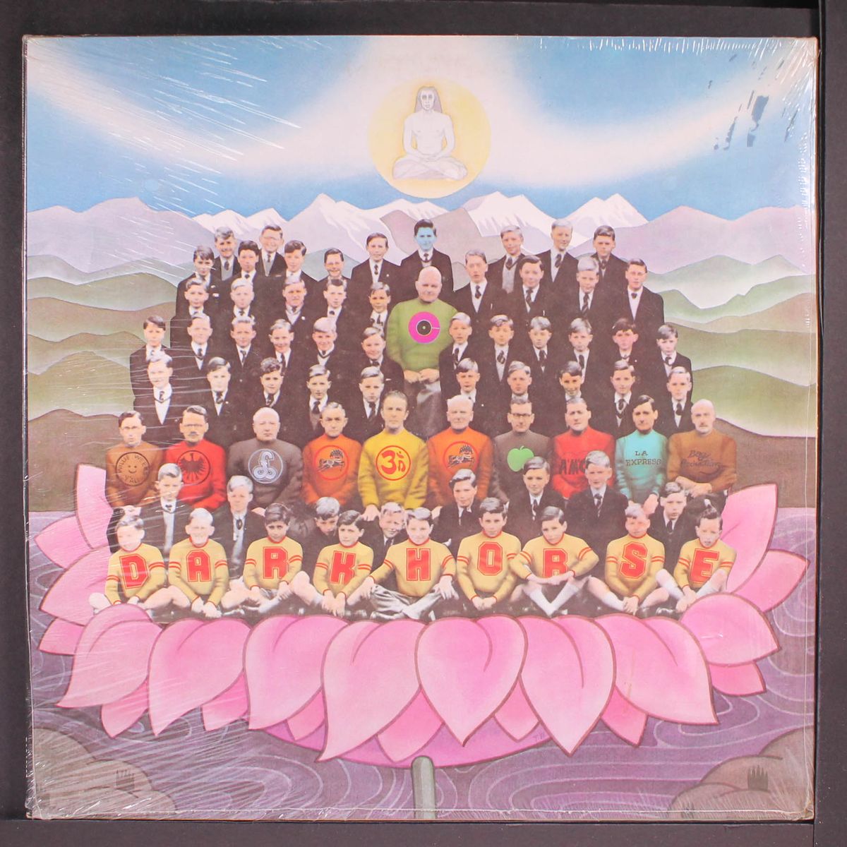 dark horse by GEORGE HARRISON