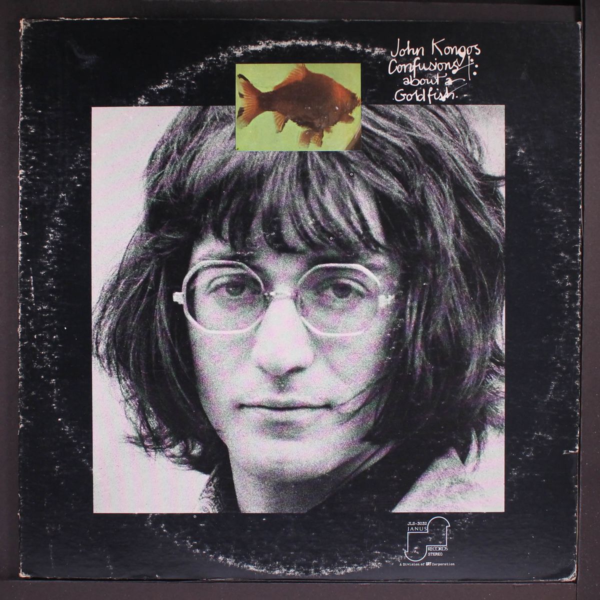 confusions about a goldfish by JOHN KONGOS