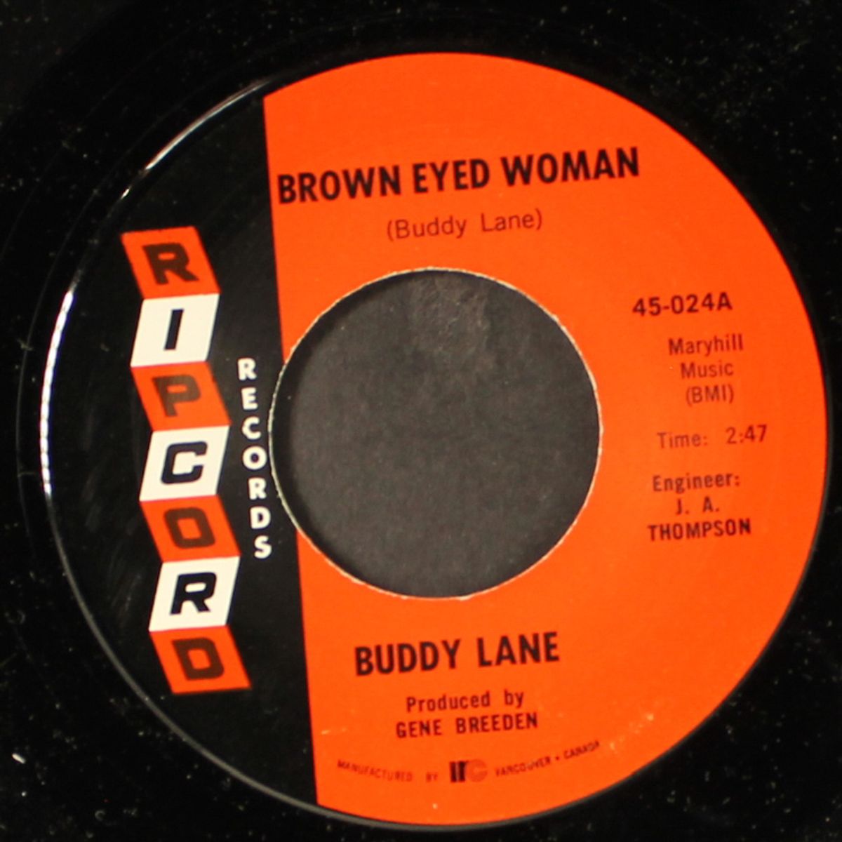 brown eyed woman / i'm longing for you by BUDDY LANE