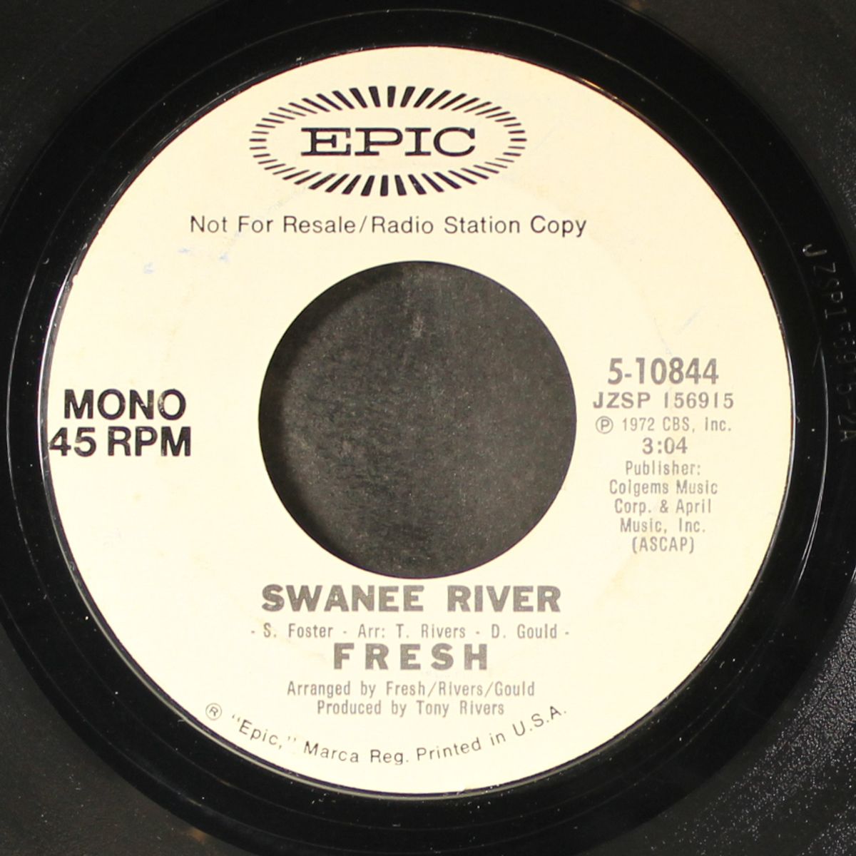 swanee river / mono by FRESH