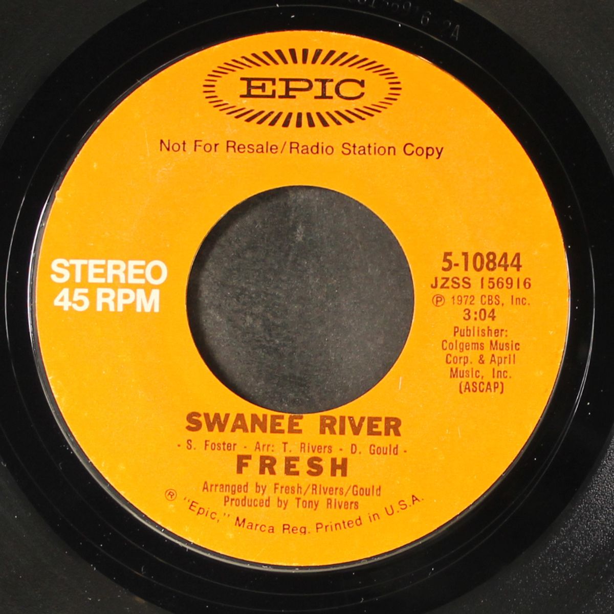 swanee river / mono by FRESH