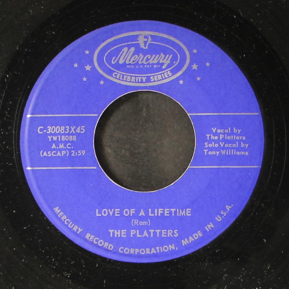 remember when / love of a lifetime by PLATTERS