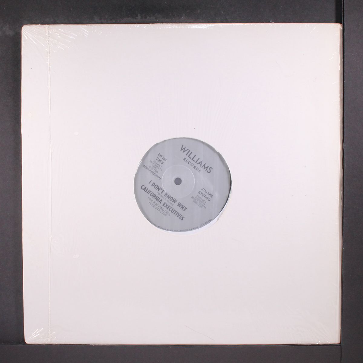 i don't know why / instro by CALIFORNIA EXECUTIVES