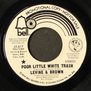 LEVINE & BROWN