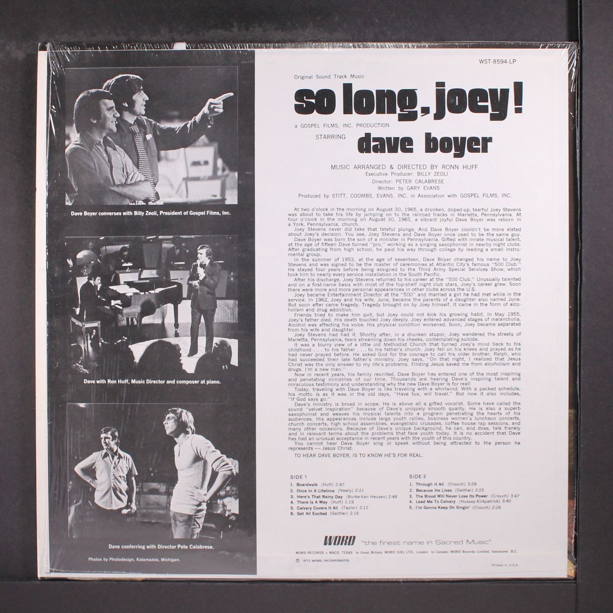 so long, joey by DAVE BOYER