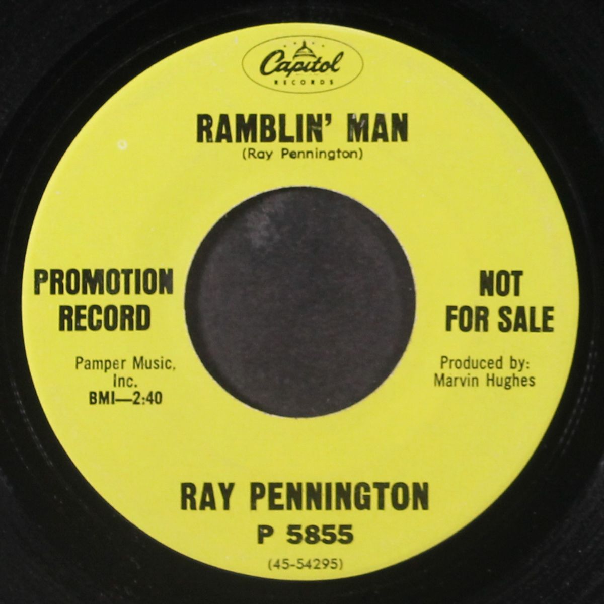 ramblin' man by RAY PENNINGTON