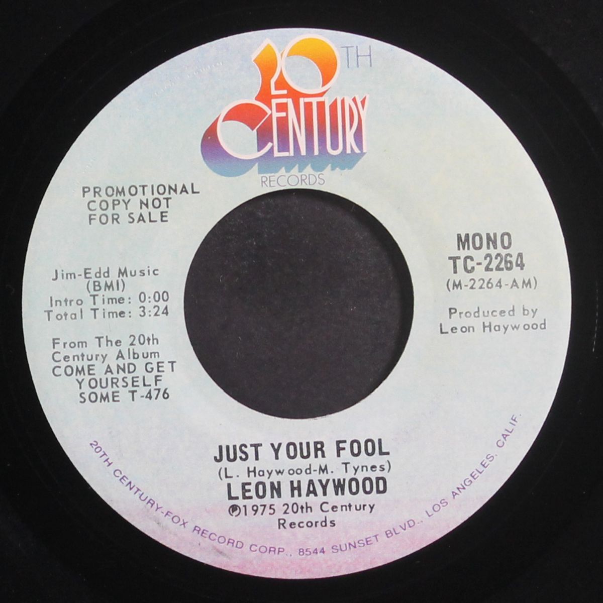 just your fool / mono by LEON HAYWOOD