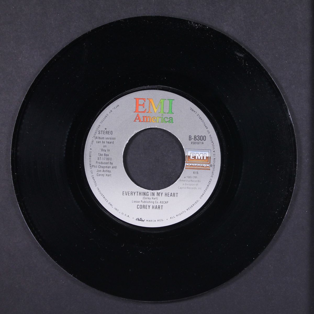 everything in my heart / sunny place - shady people by COREY HART