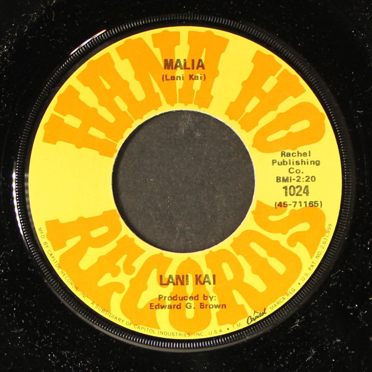 malia / flying bird by LANI KAI