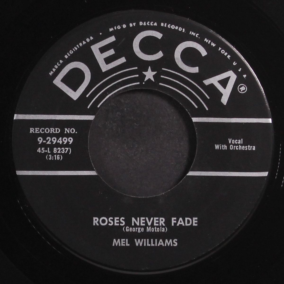 eternal love / roses never fade by MEL WILLIAMS