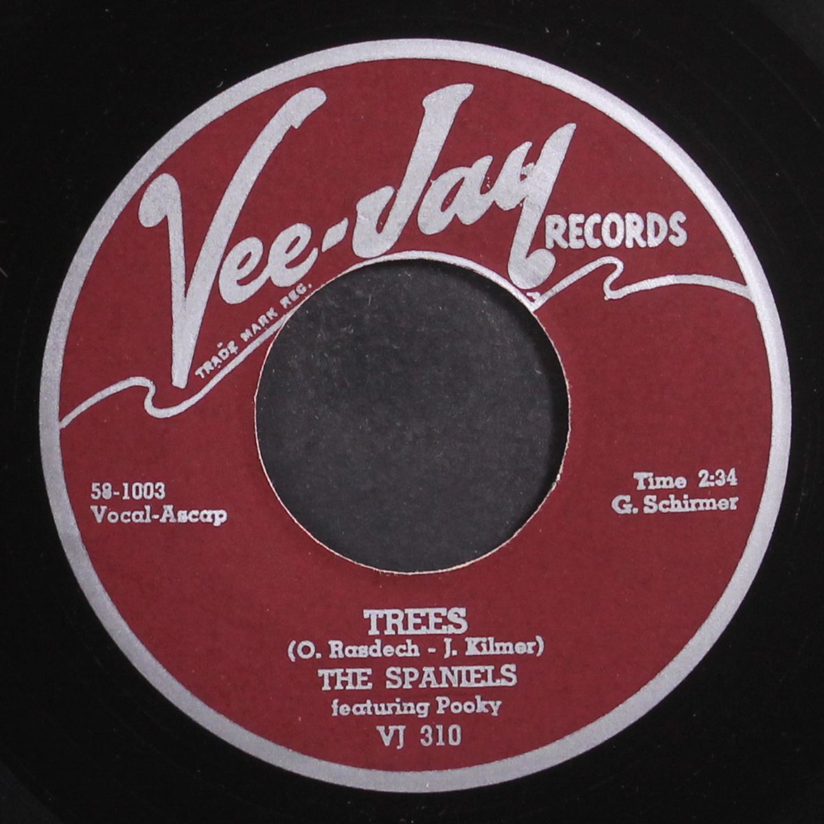 trees / i like it like that by SPANIELS