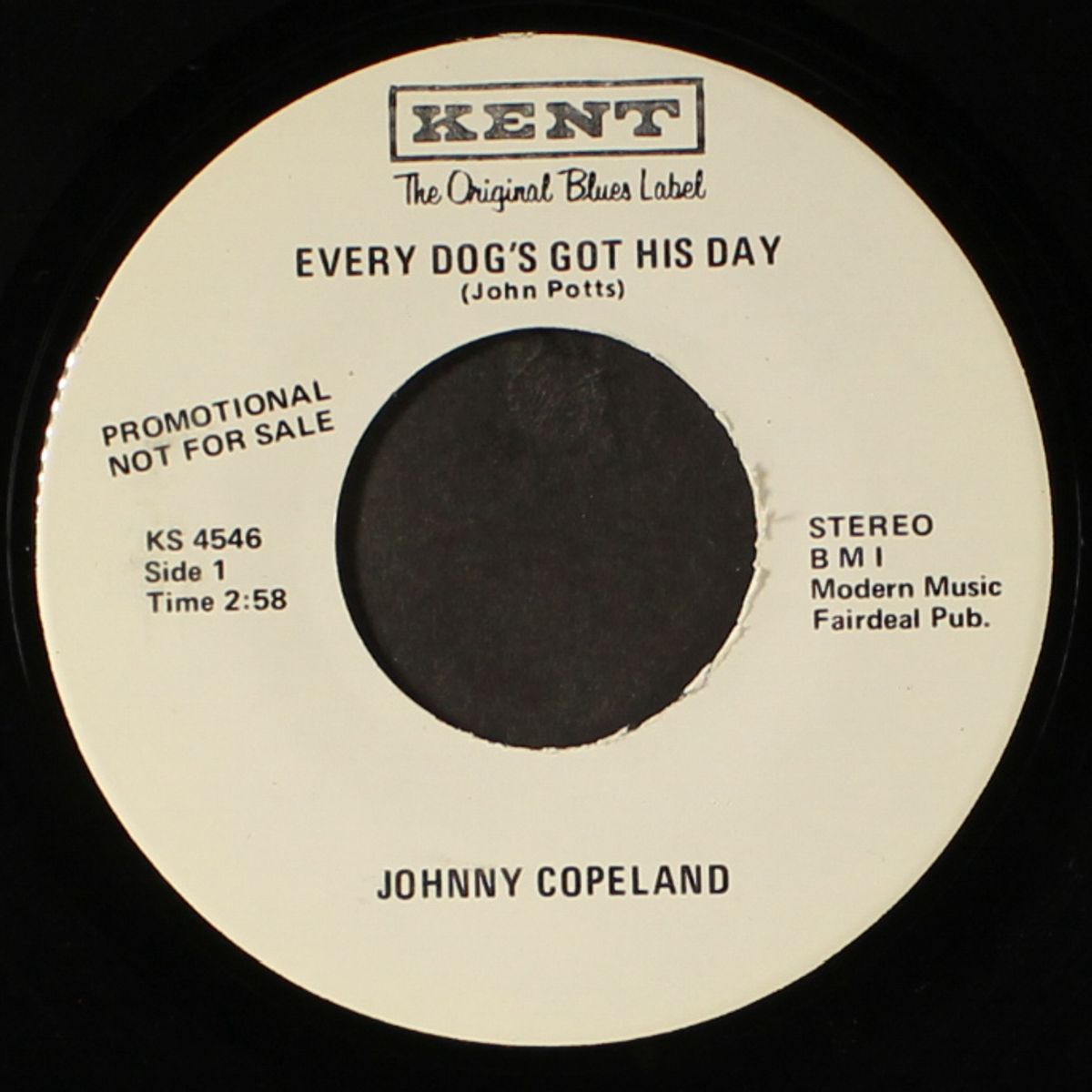 every dog's got his day / wizard of art by JOHNNY COPELAND