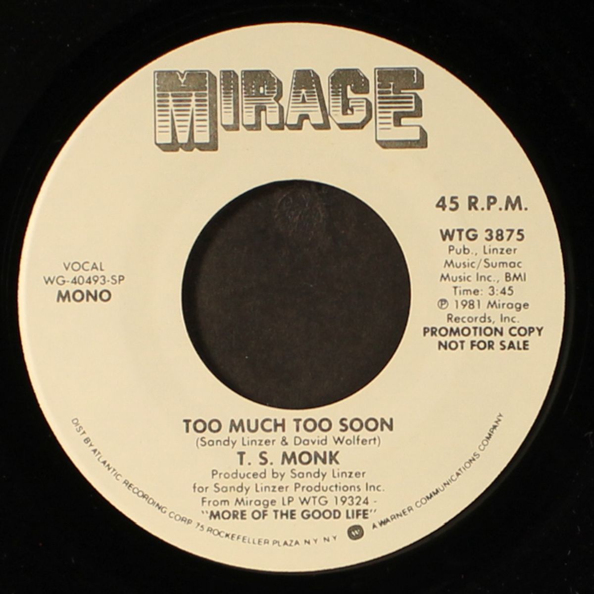 too much too soon / mono by T.S. MONK