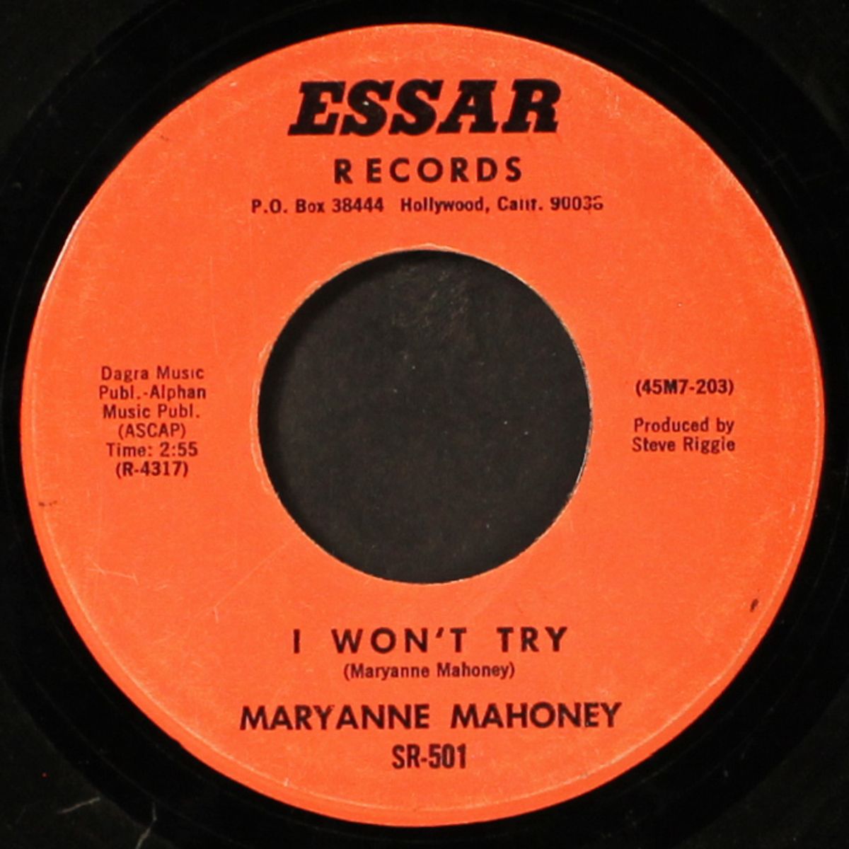 i won't try by MARYANNE MAHONEY