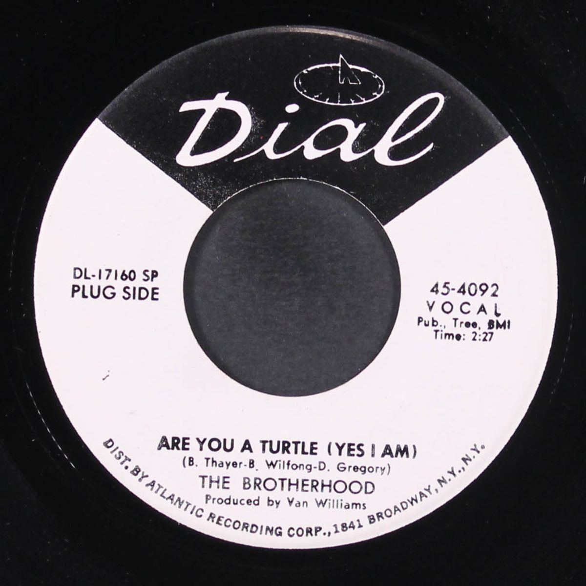 are you a turtle / mari by BROTHERHOOD