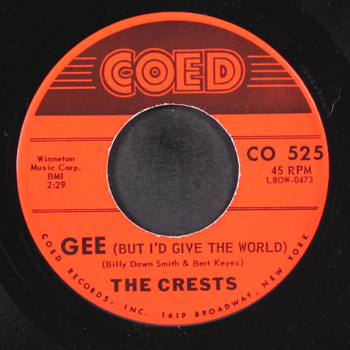 step by step / gee by CRESTS