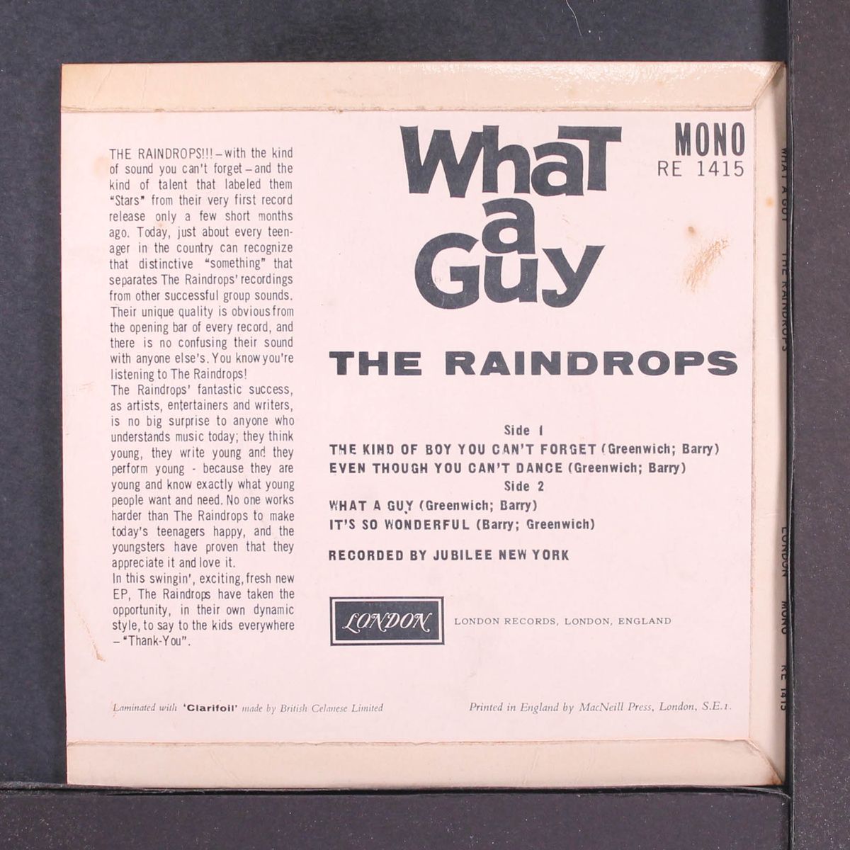 what a guy by RAINDROPS