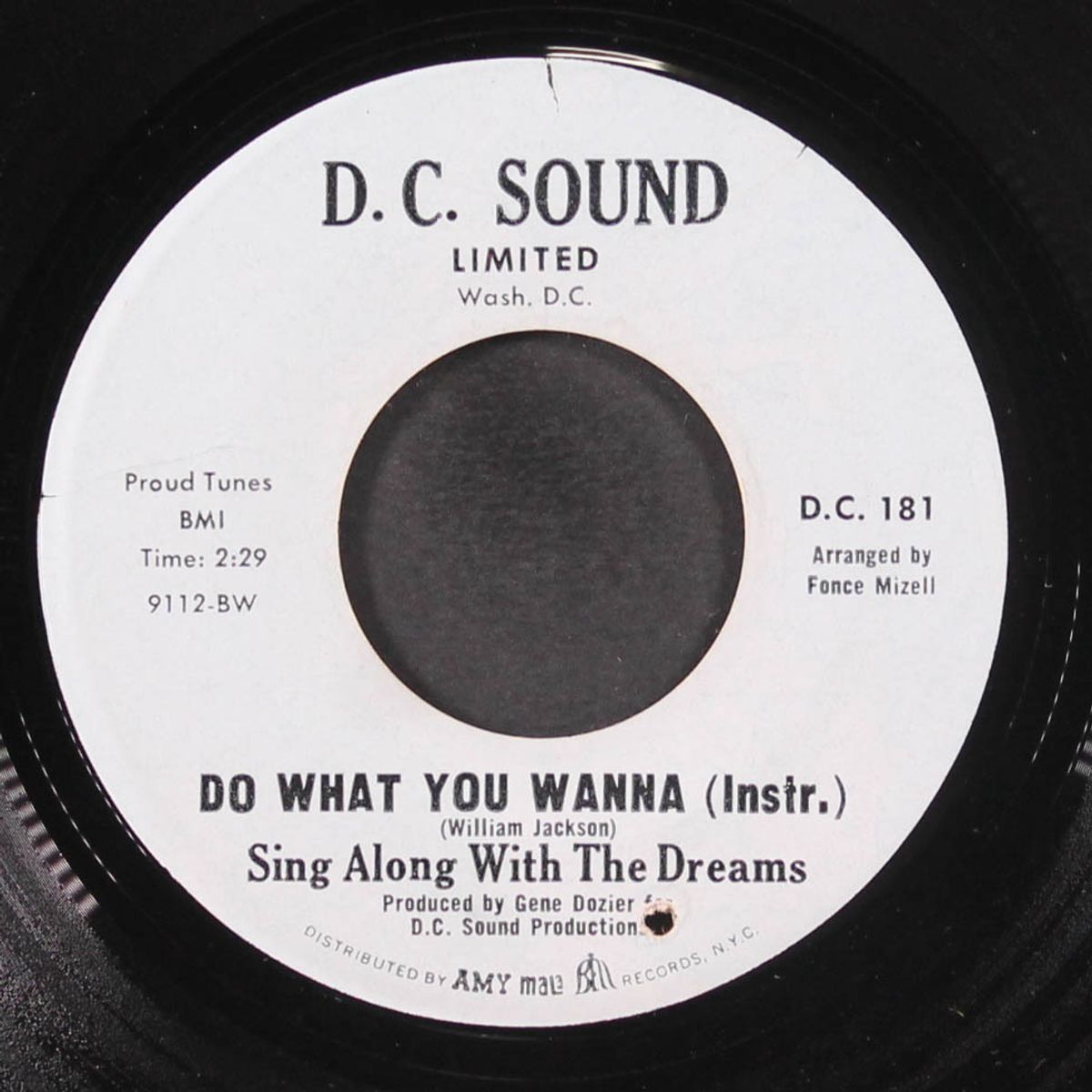 do what you wanna / instro by DREAMS