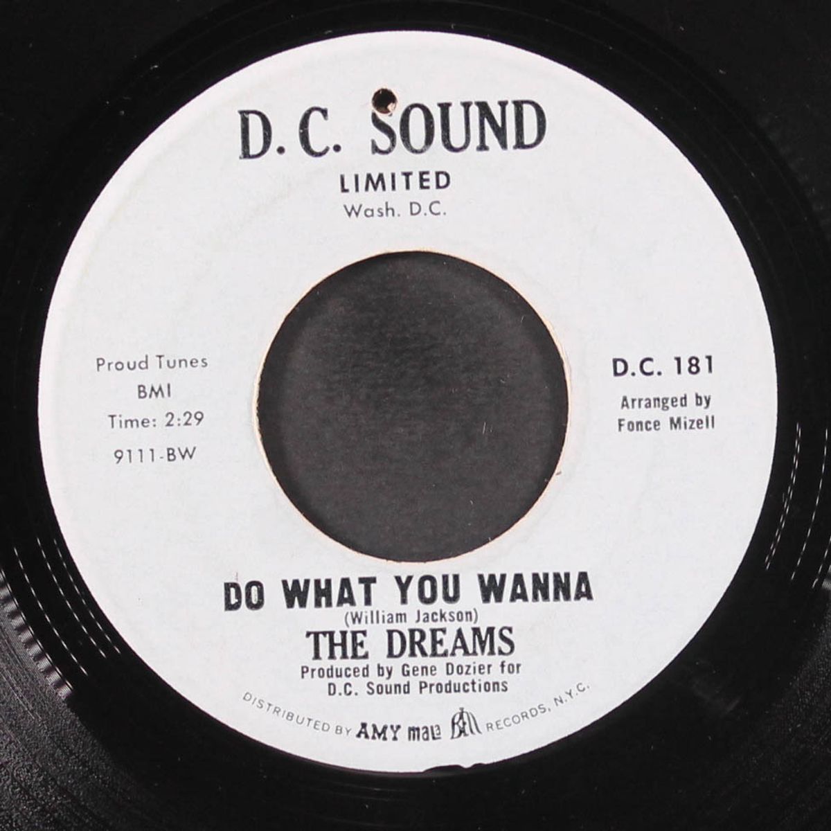 do what you wanna / instro by DREAMS