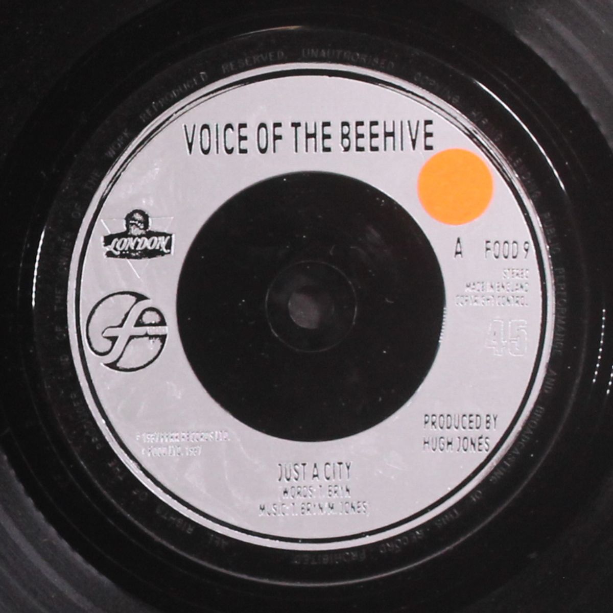 just a city by VOICE OF THE BEEHIVE