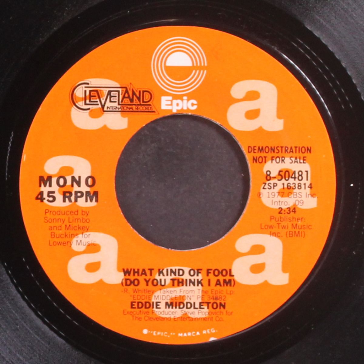 what kind of fool / mono by EDDIE MIDDLETON