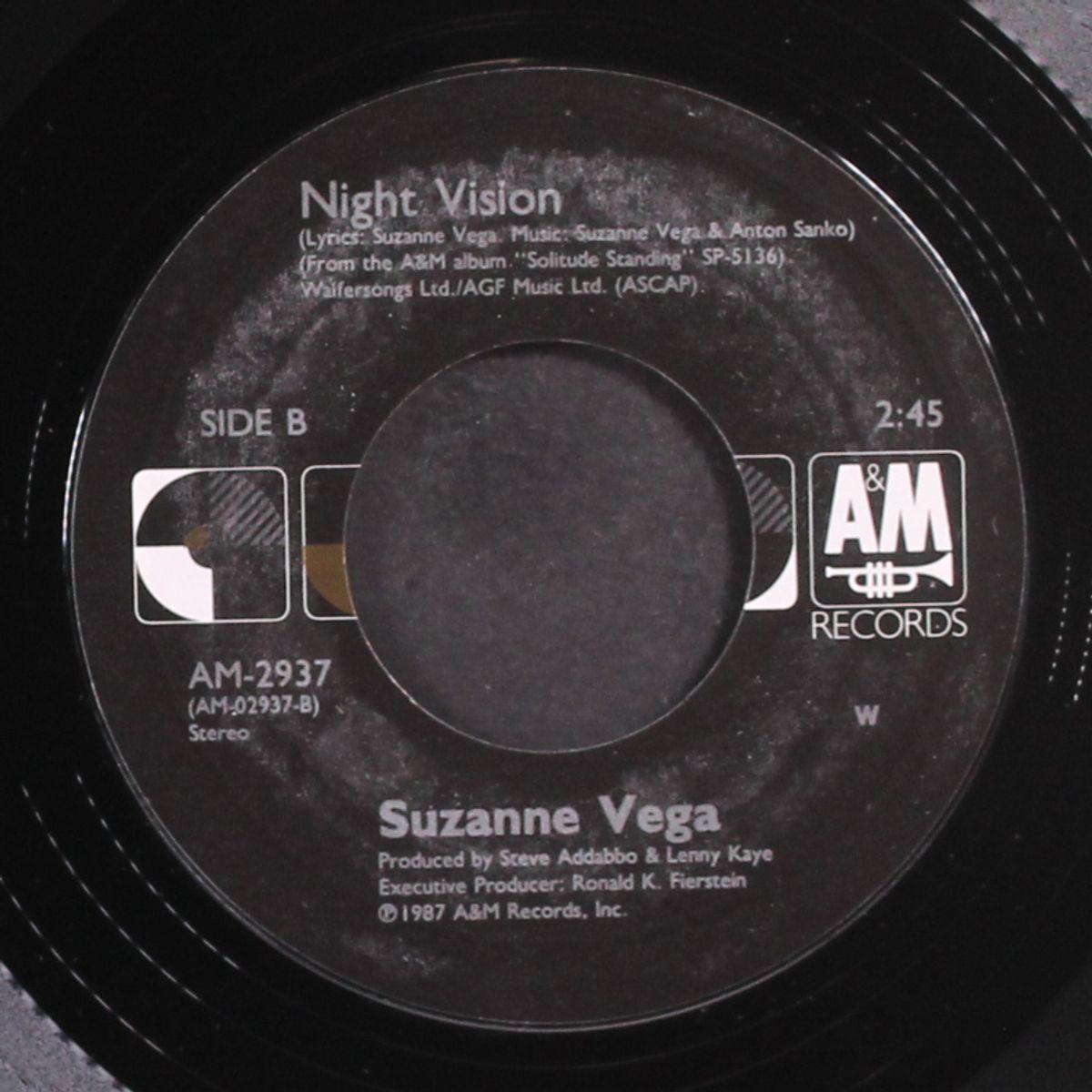 luka / night vision by SUZANNE VEGA
