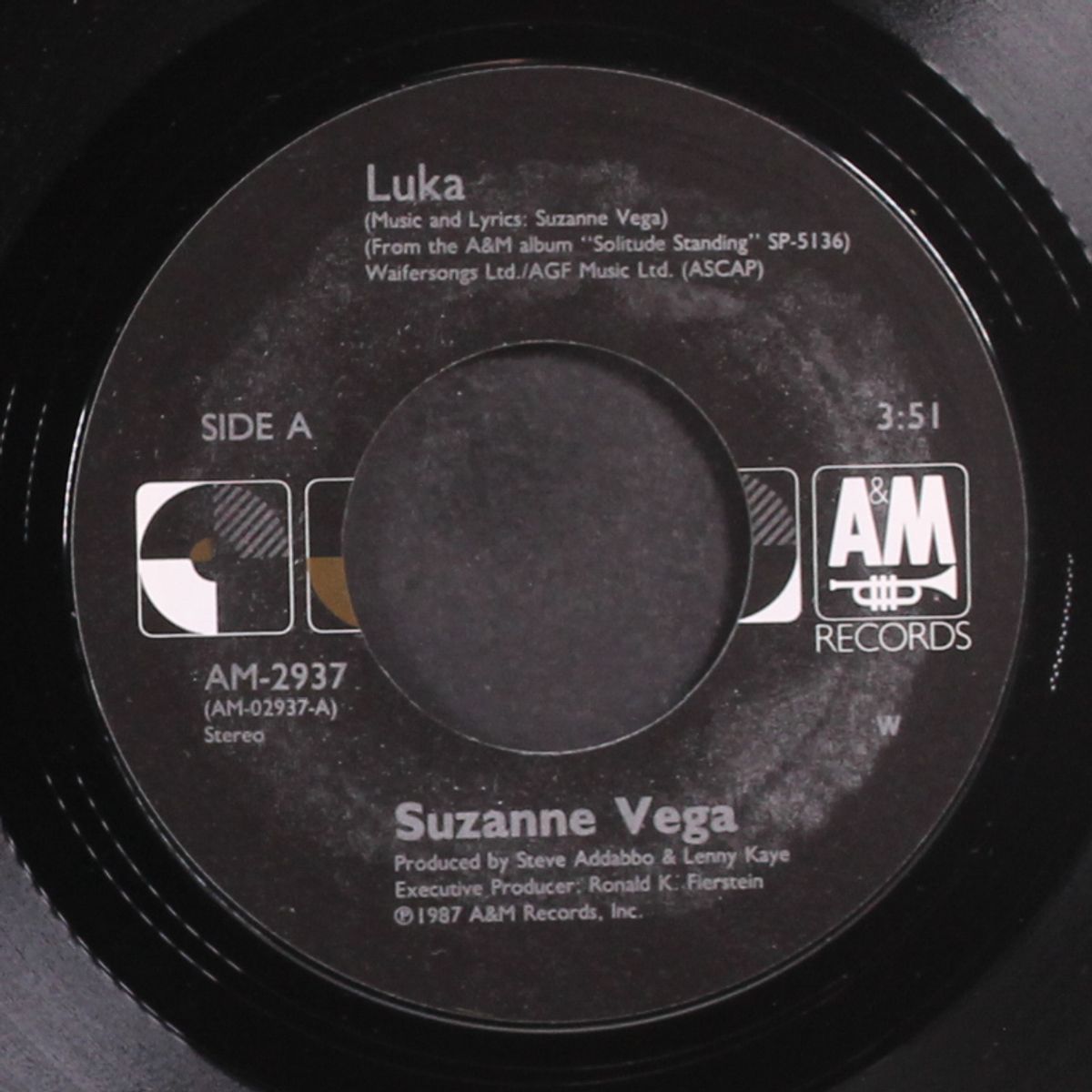 luka / night vision by SUZANNE VEGA