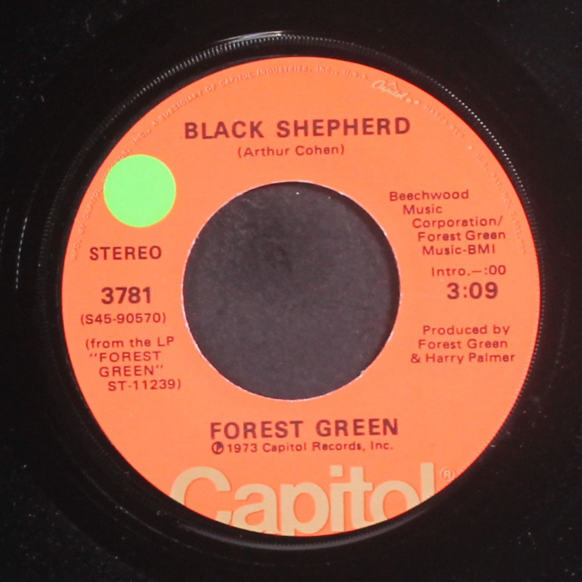 never found a way by FOREST GREEN