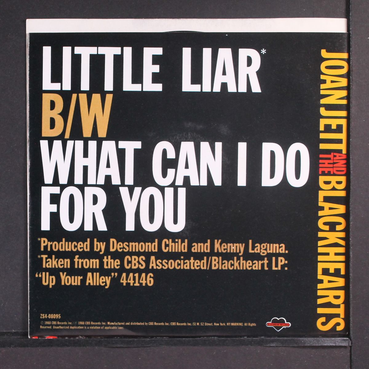 little liar / what can i do for you by JOAN JETT