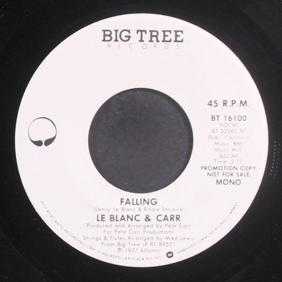falling / mono by LE BLANC & CARR
