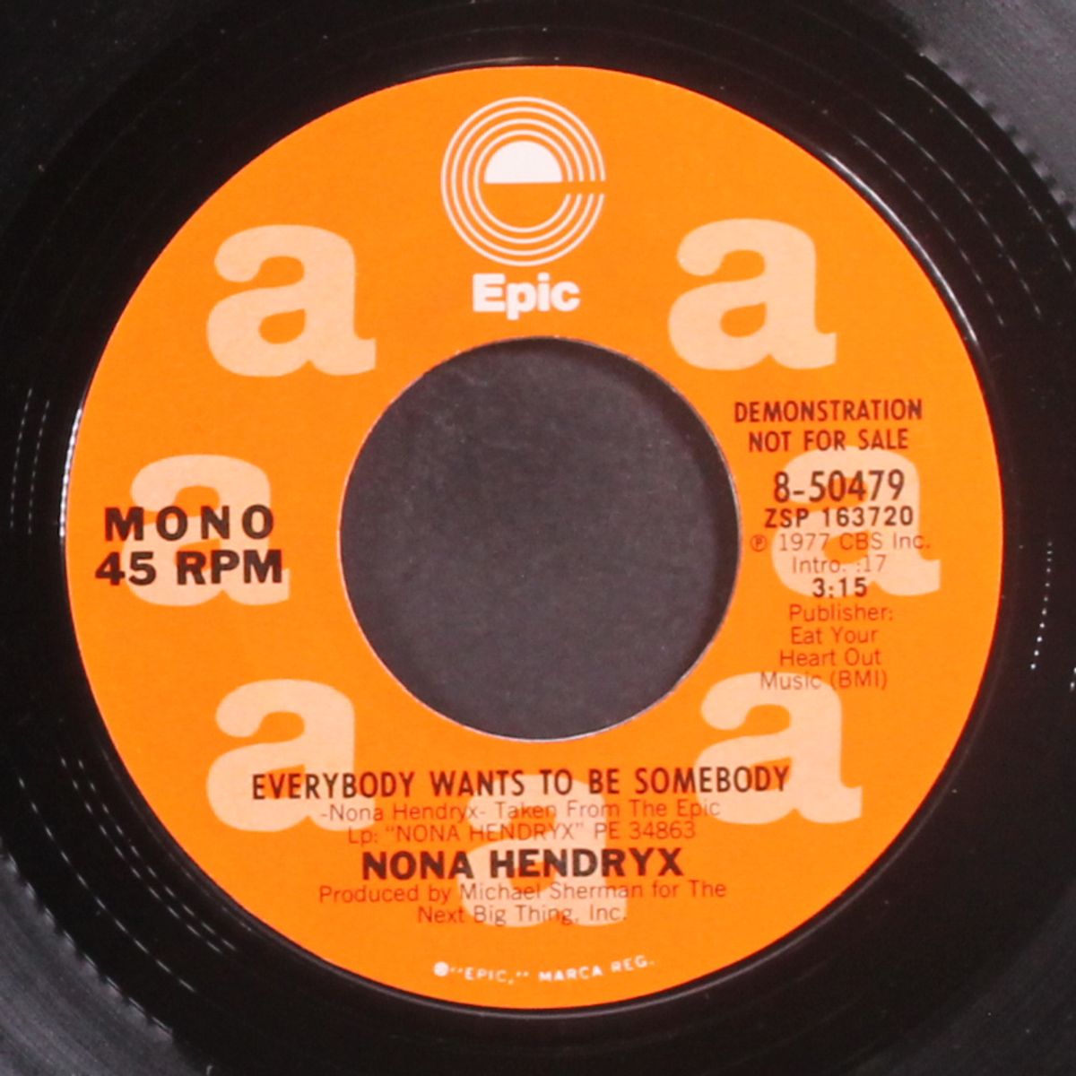 everybody wants to be somebody / mono by NONA HENDRYX