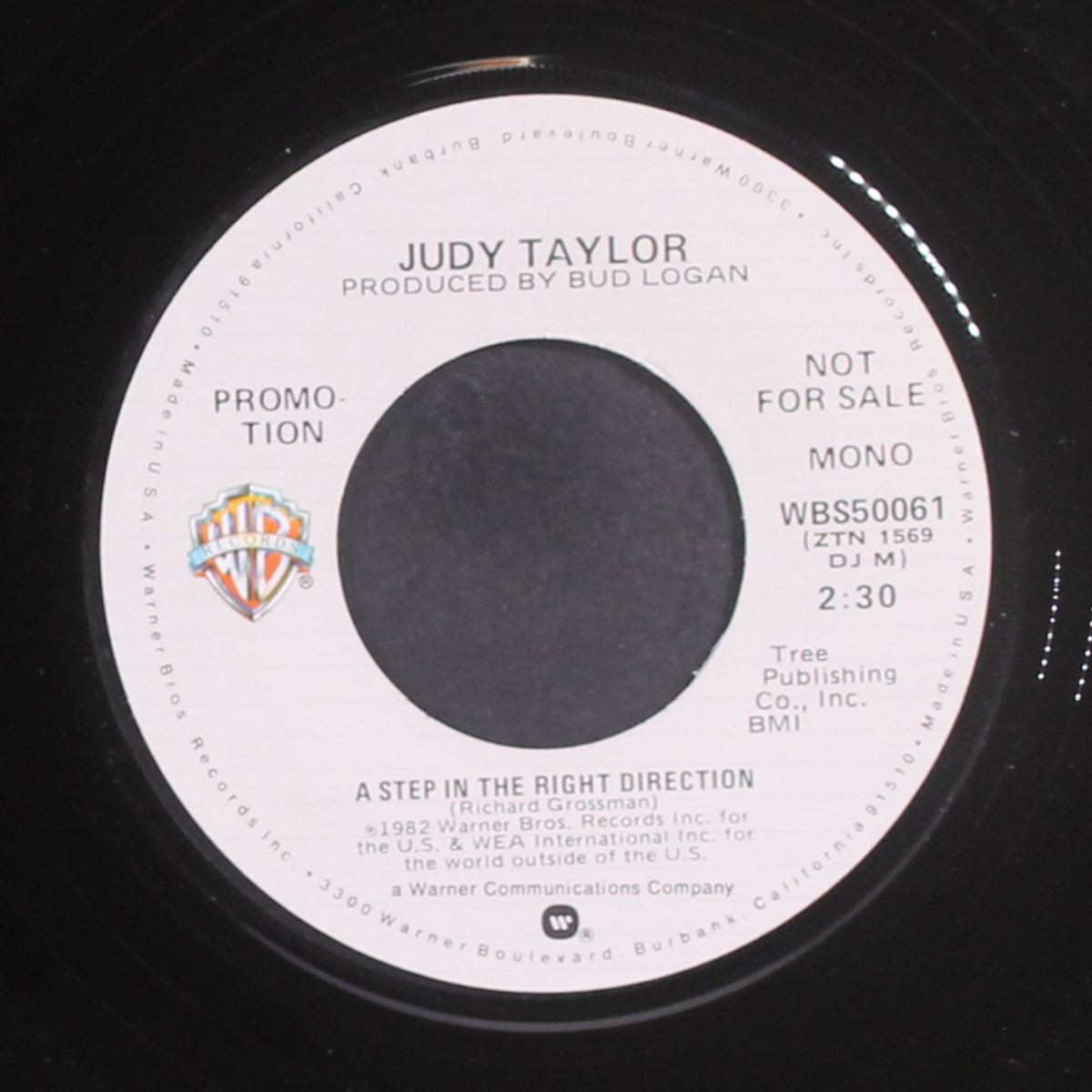 a step in the right direction / mono by JUDY TAYLOR