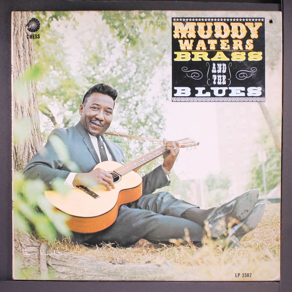 brass and the blues by MUDDY WATERS