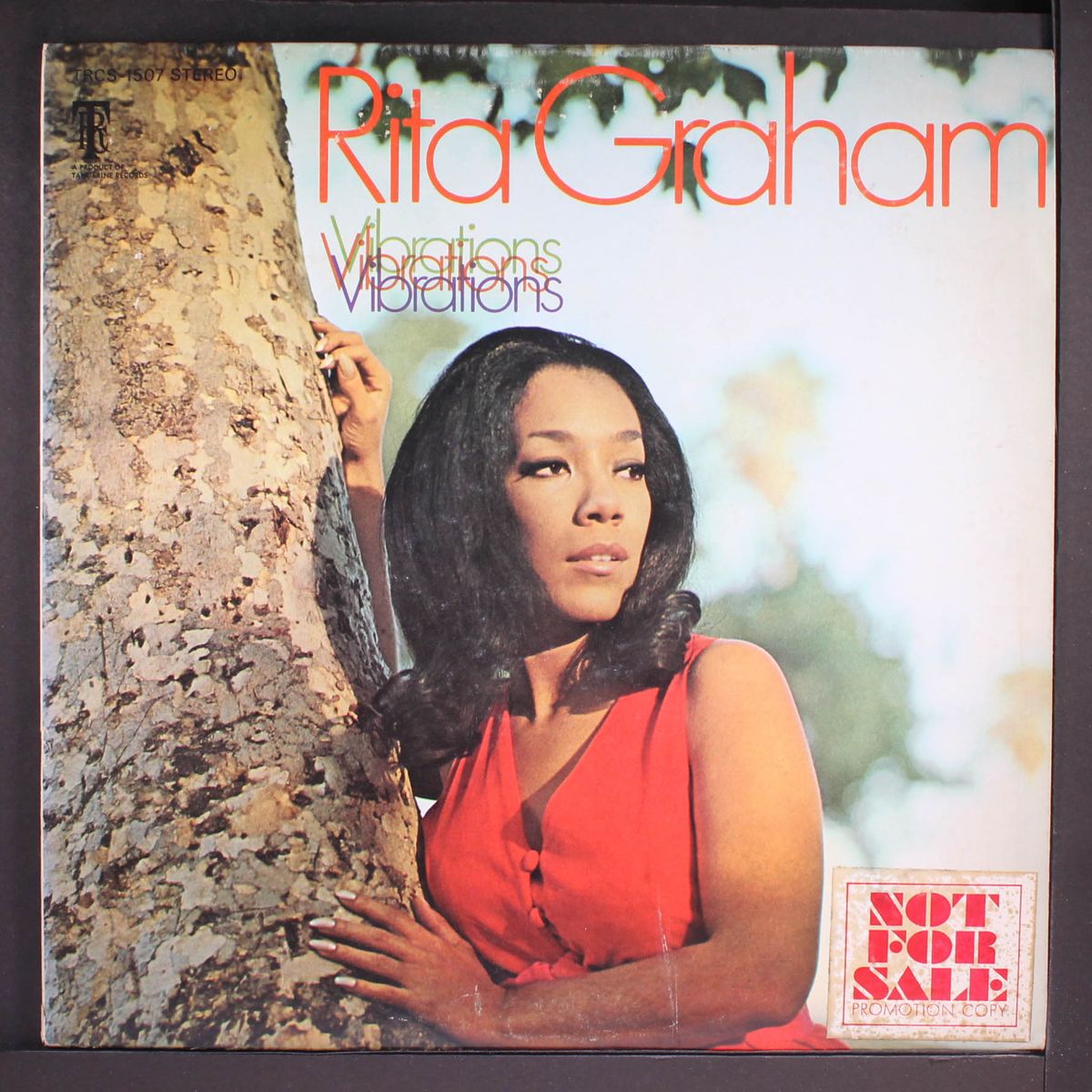 vibrations by RITA GRAHAM