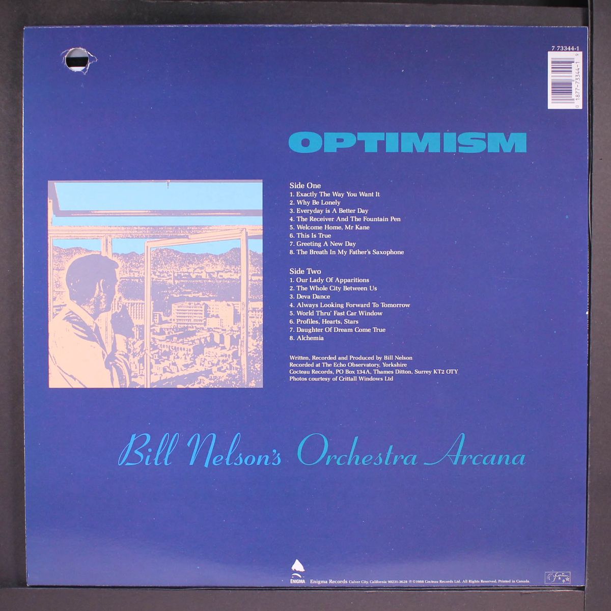 optimism by BILL NELSON'S ORCHESTRA ARCANA