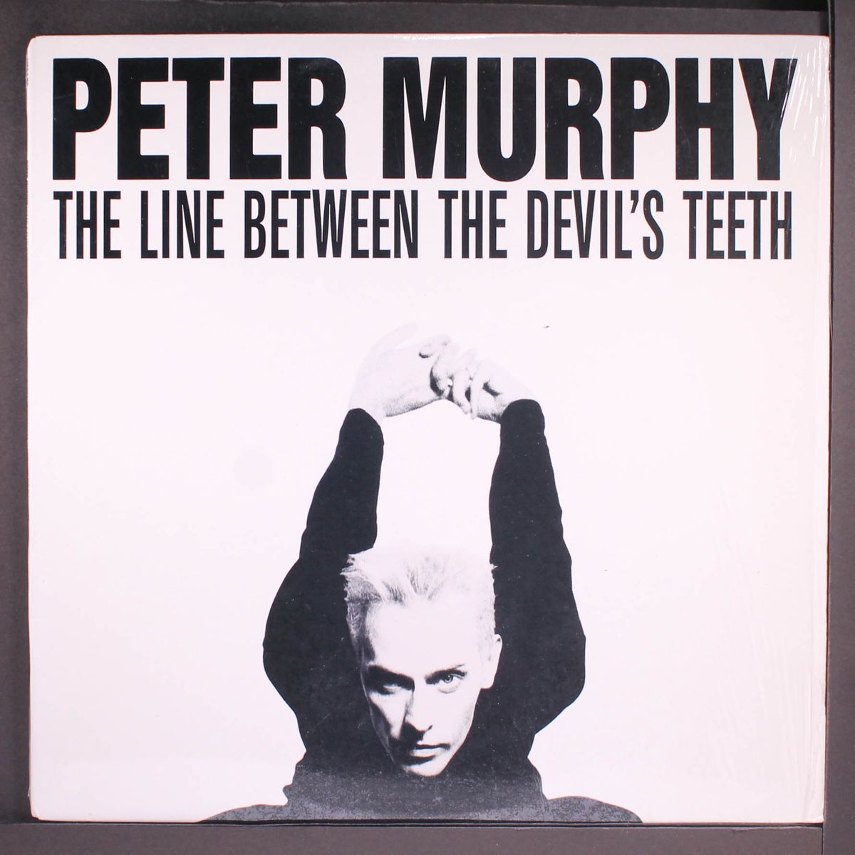 the line between the devil's teeth by PETER MURPHY