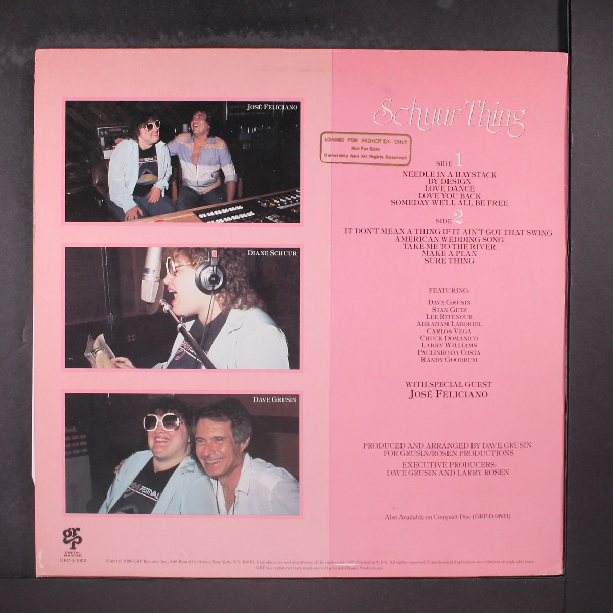 schuur thing by DIANE SCHUUR