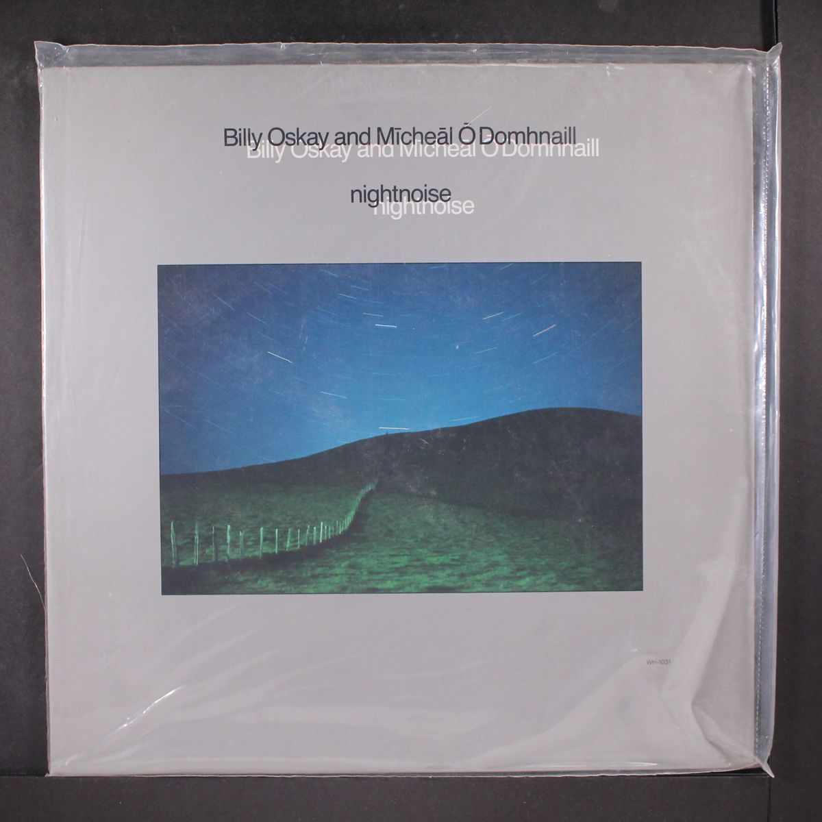 nightnoise by BILLY OSKAY & MICHEAL O DOMHNAILL