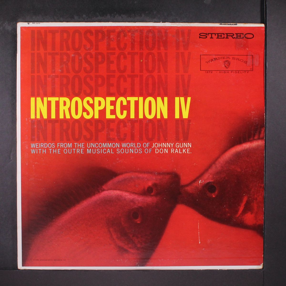 introspection iv by JOHNNY GUNN