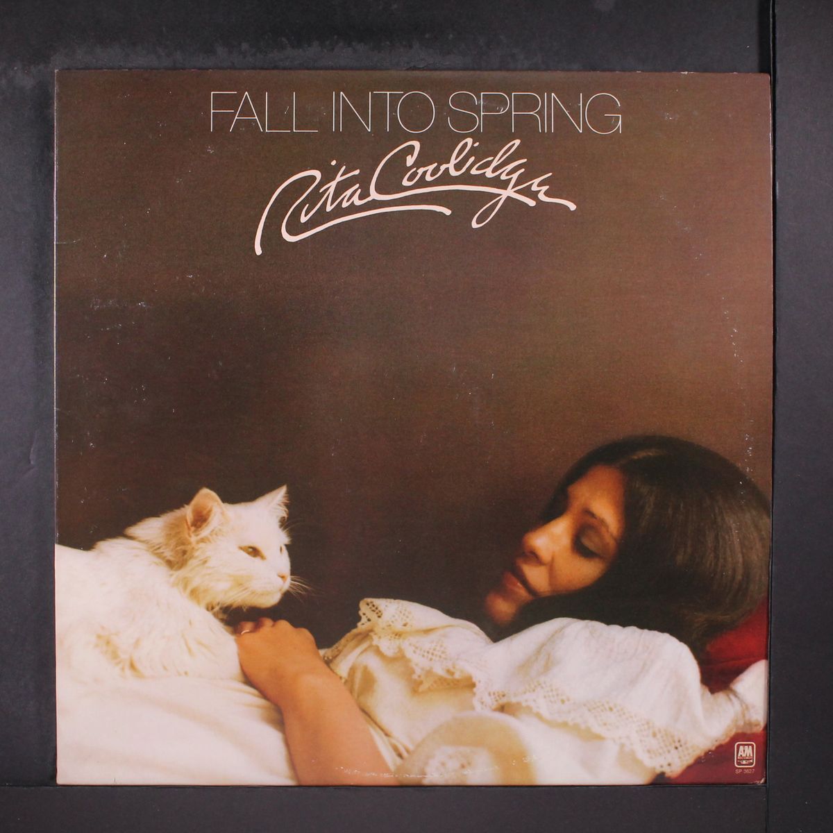 fall into spring by RITA COOLIDGE