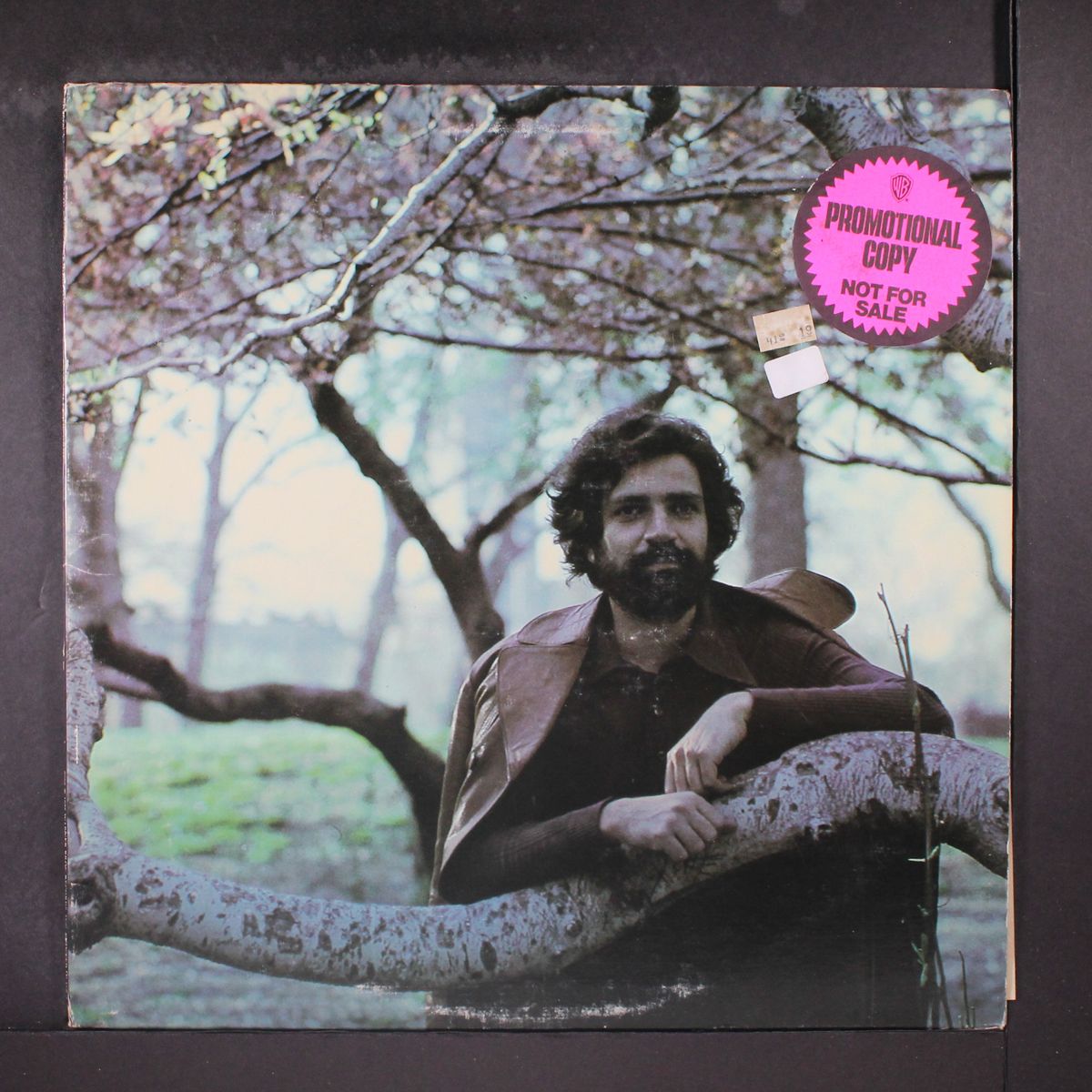 destiny by FELIX CAVALIERE