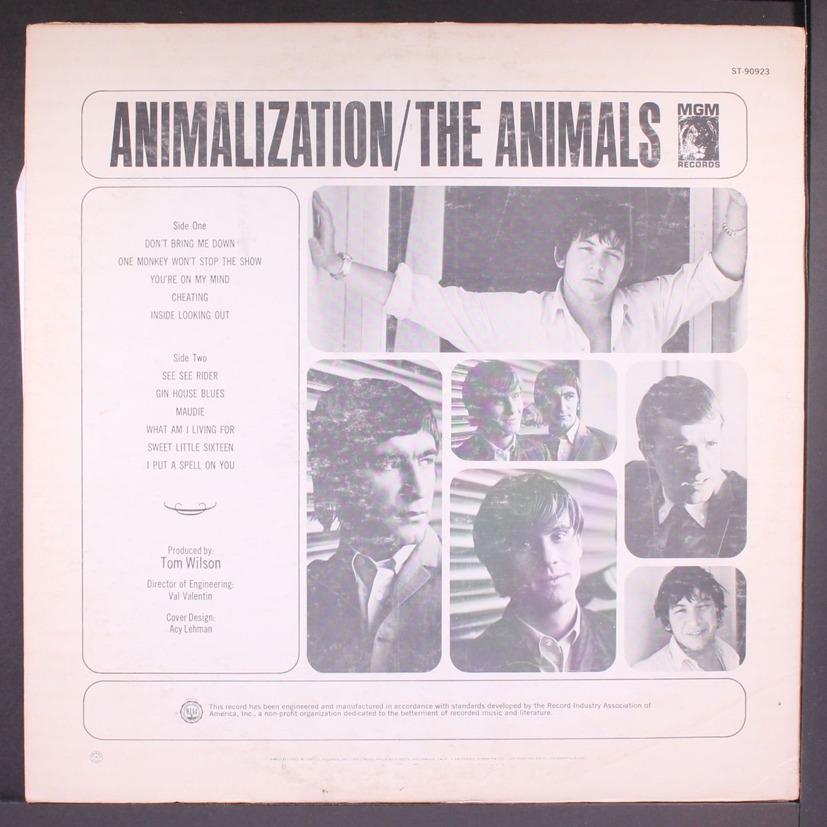animalization by ANIMALS