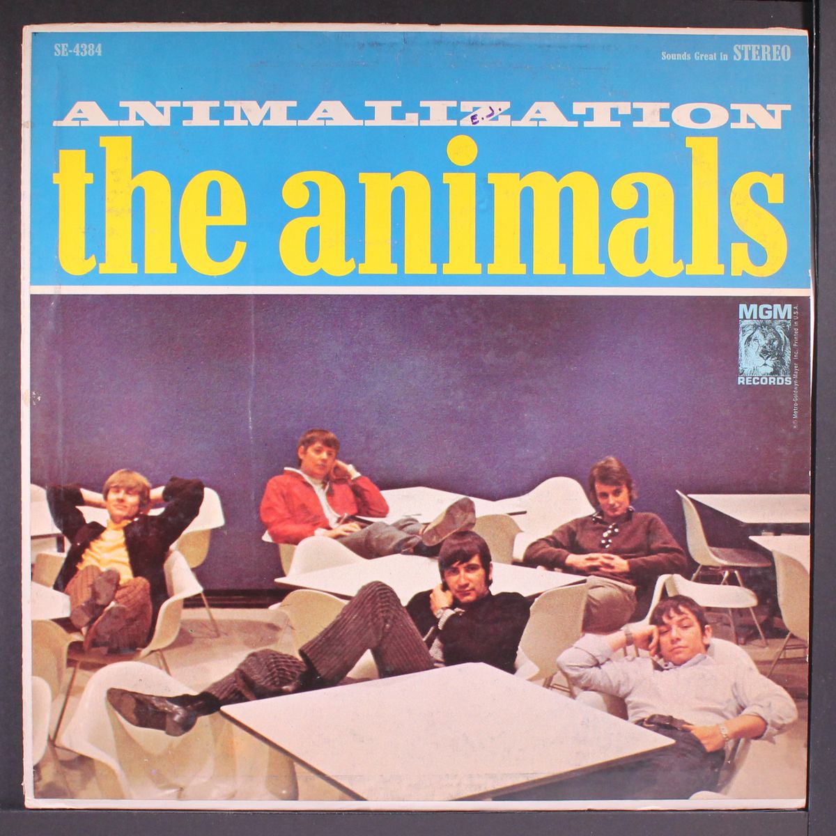 animalization by ANIMALS