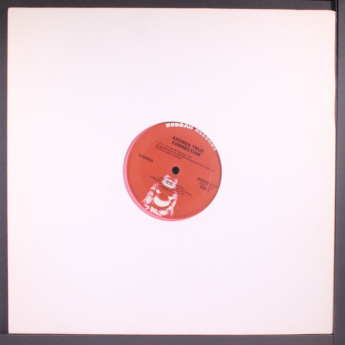 n.y., you got me dancing / same by ANDREA TRUE CONNECTION