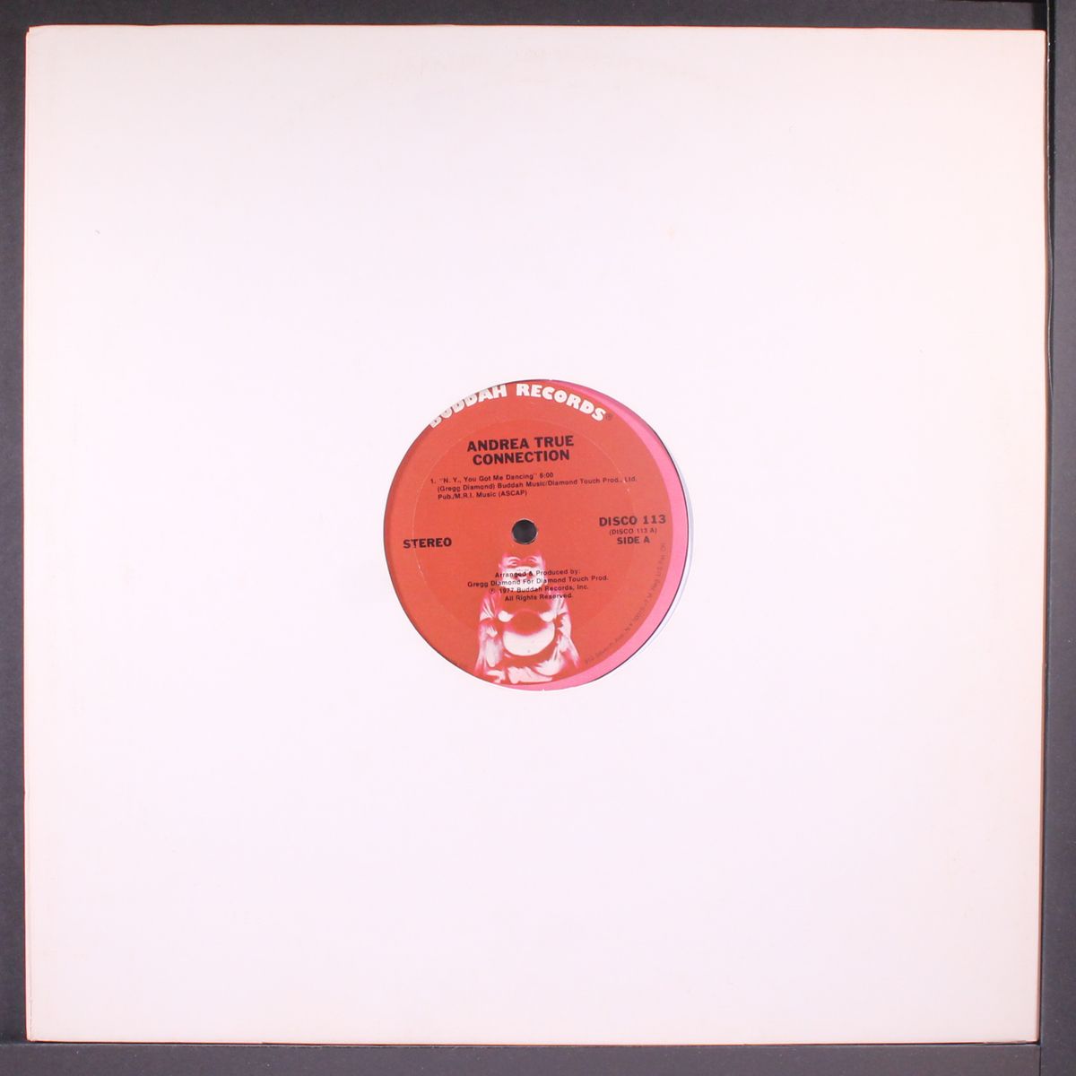 n.y., you got me dancing / same by ANDREA TRUE CONNECTION