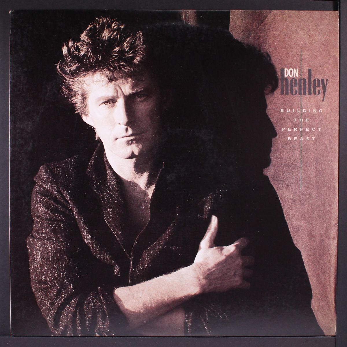 building the perfect beast by DON HENLEY