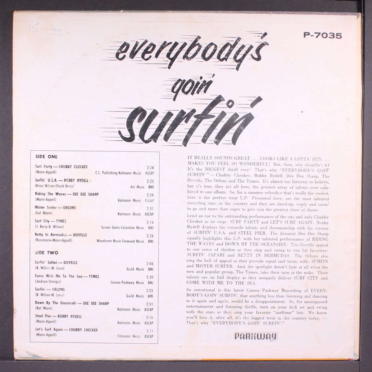 everybody's goin' surfin' by VARIOUS